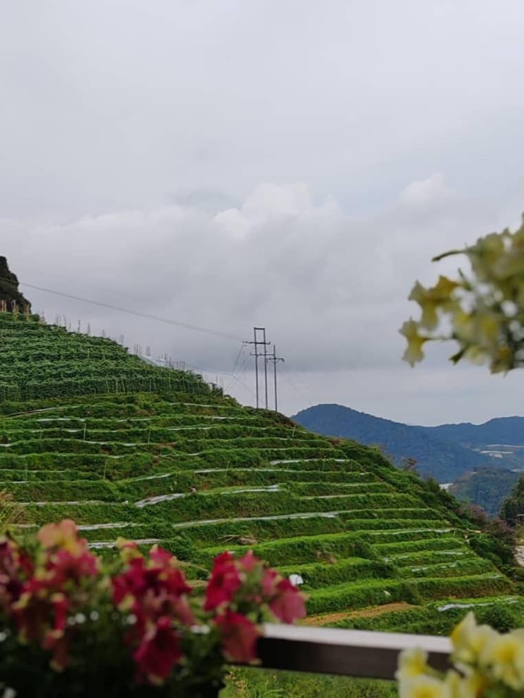 Kensington Sunrise Sg, Palas Horizon,Kea Farm 伯恩仓 外观 照片