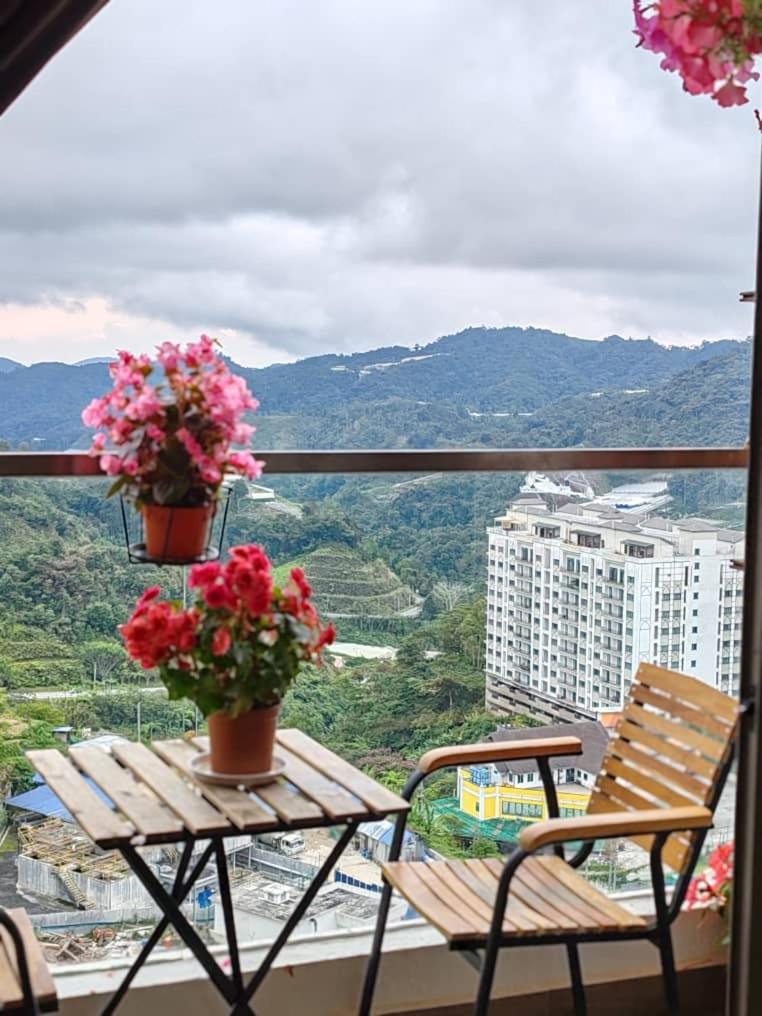 Kensington Sunrise Sg, Palas Horizon,Kea Farm 伯恩仓 外观 照片