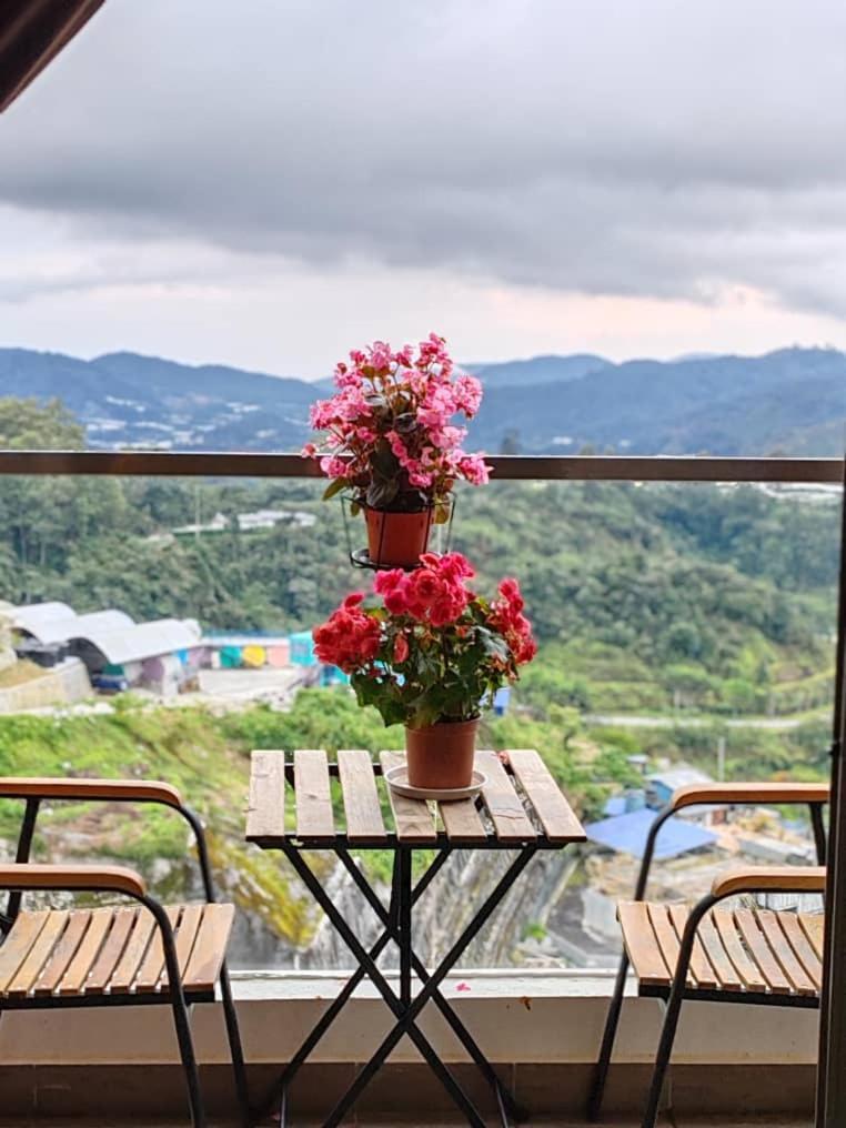 Kensington Sunrise Sg, Palas Horizon,Kea Farm 伯恩仓 外观 照片