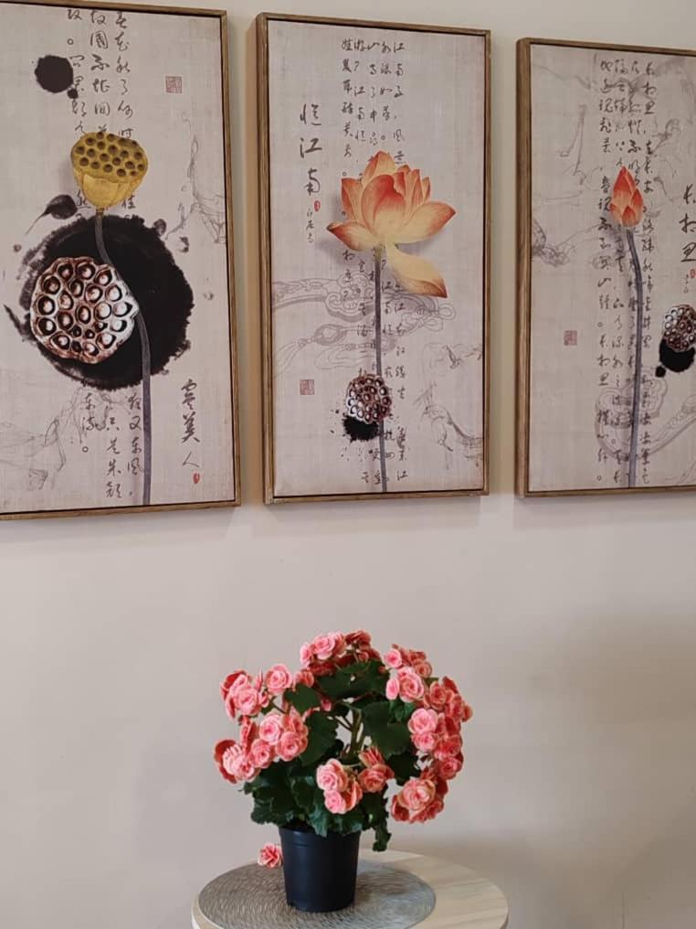 Kensington Sunrise Sg, Palas Horizon,Kea Farm 伯恩仓 外观 照片
