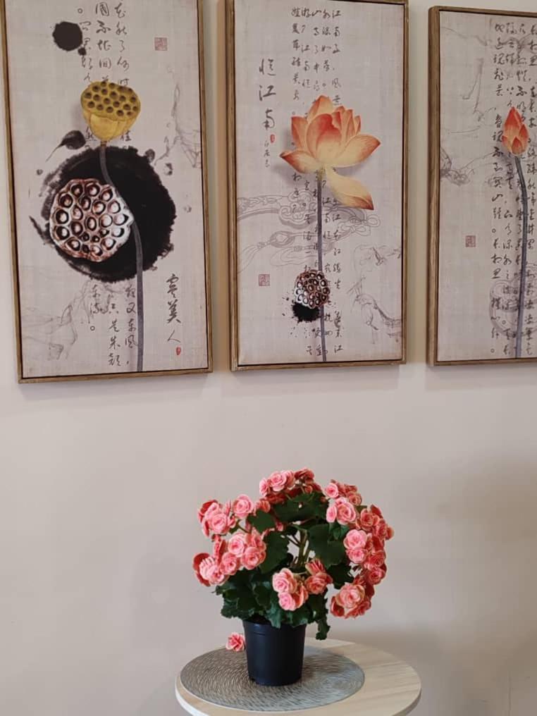 Kensington Sunrise Sg, Palas Horizon,Kea Farm 伯恩仓 外观 照片